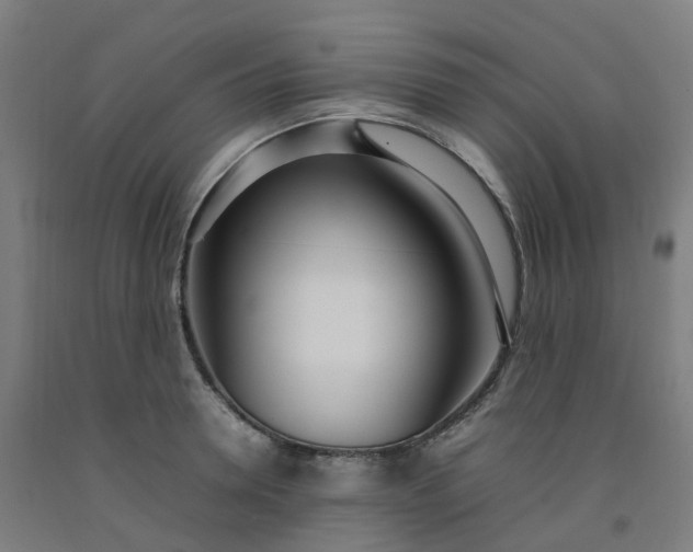 X0000092240946200709281121