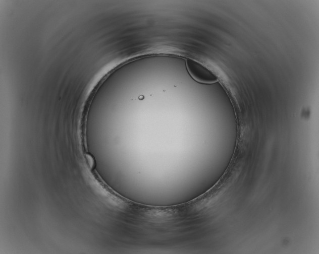 X0000092240947200709281121