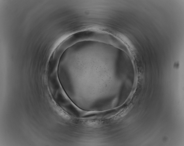 X0000092240948200709281121