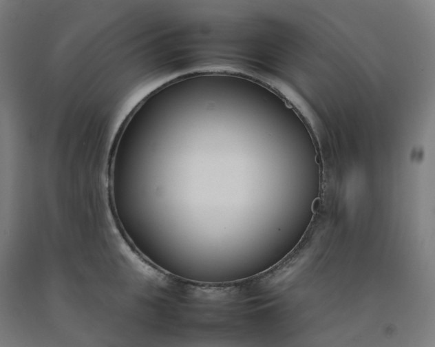 X0000092240951200709281121