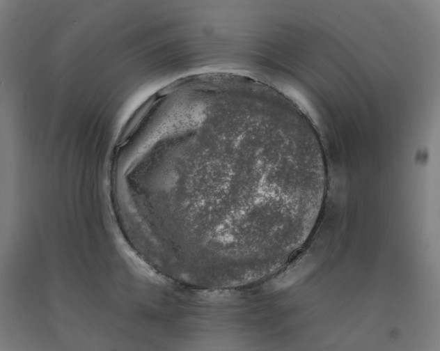 X0000092240952200709281121