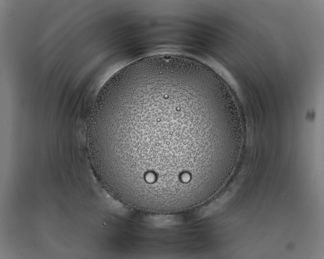 X0000092240953200709281121