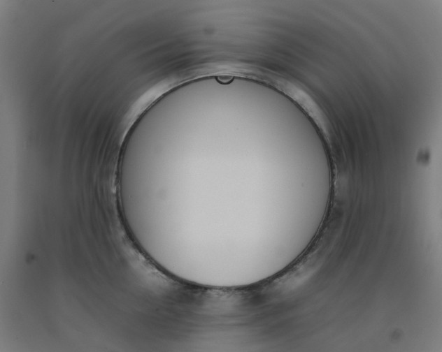 X0000092240954200709281122