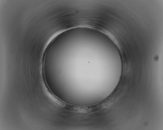 X0000092240955200709281122