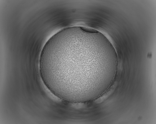 X0000092240957200709281122