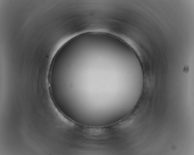 X0000092240959200709281122