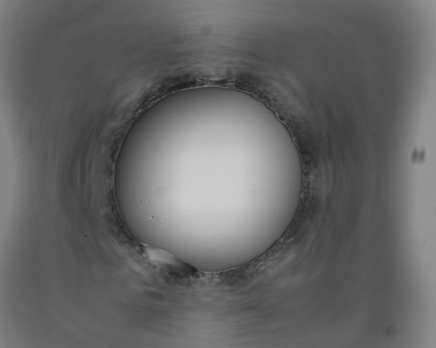 X0000092240961200709281121