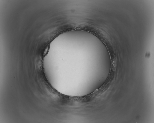 X0000092240963200709281121