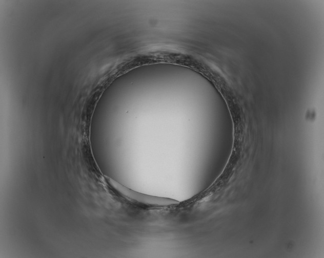 X0000092240965200709281121