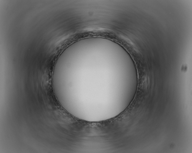 X0000092240966200709281121