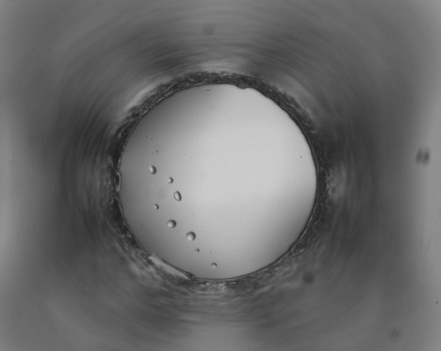 X0000092240968200709281121