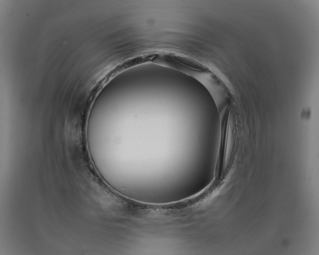 X0000092240969200709281121