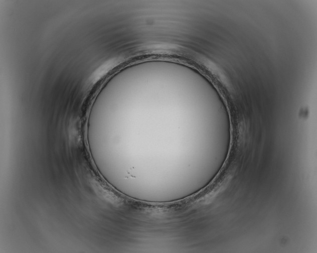 X0000092240970200709281121