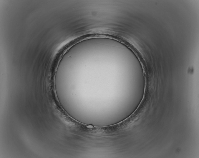 X0000092240971200709281121