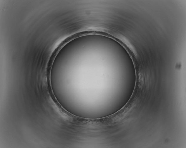 X0000092240972200709281121