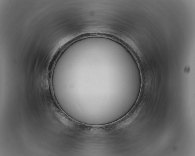 X0000092240974200709281121