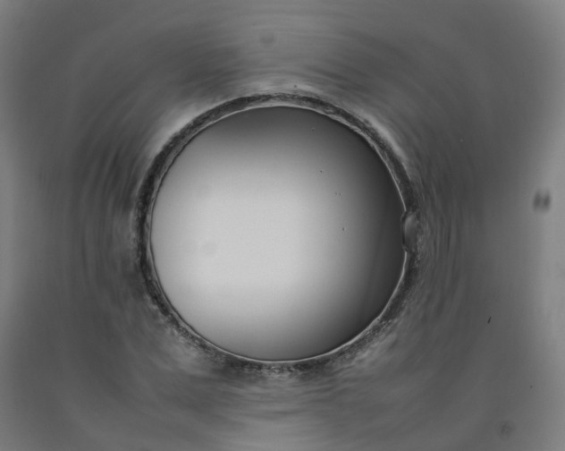 X0000092240975200709281121