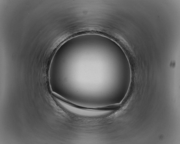 X0000092240977200709281121