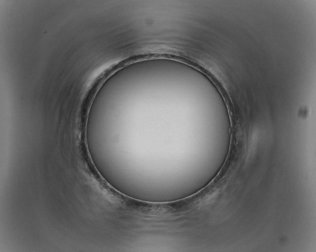 X0000092240979200709281121