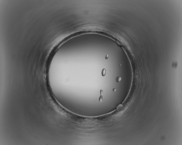 X0000092240981200709281121