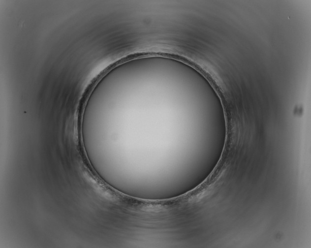 X0000092240982200709281121