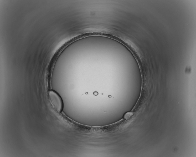 X0000092240983200709281121