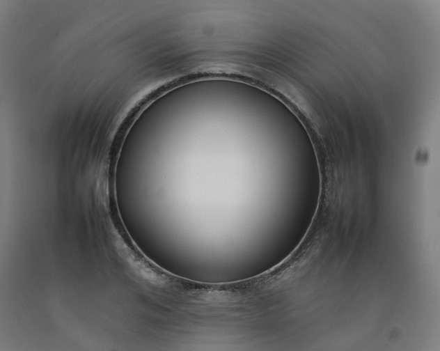 X0000092240984200709281121