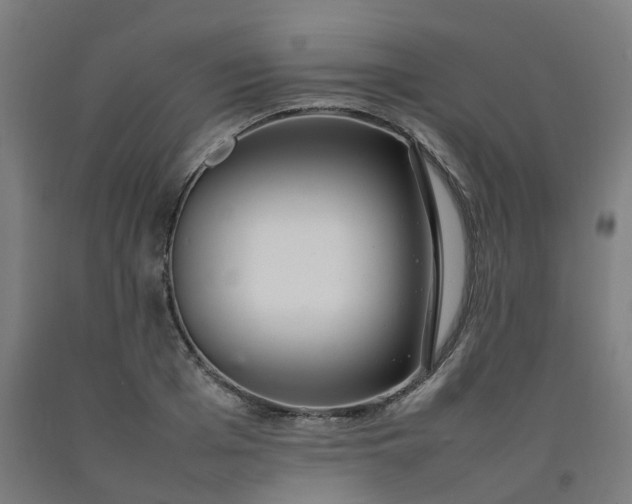 X0000092240985200709281121