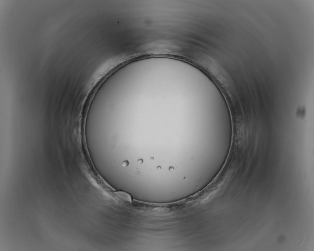 X0000092240986200709281121