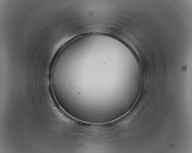 X0000092240987200709281121