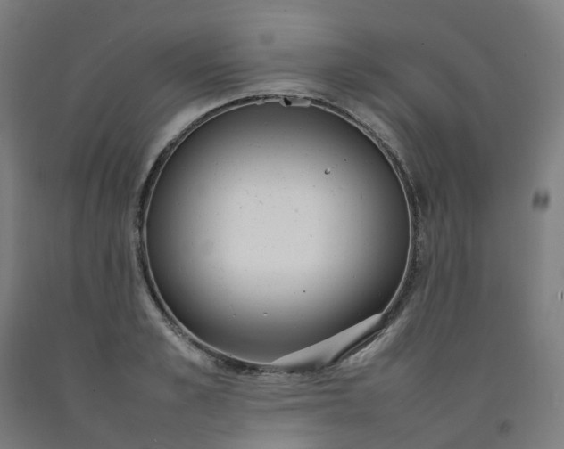 X0000092240989200709281121