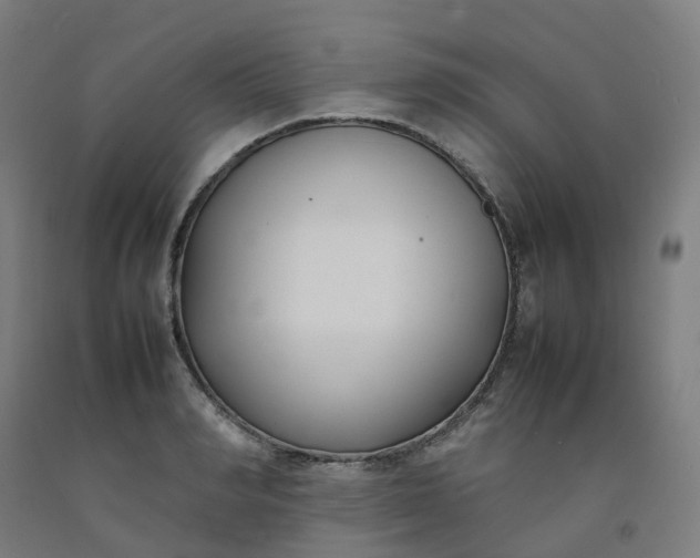 X0000092240990200709281121