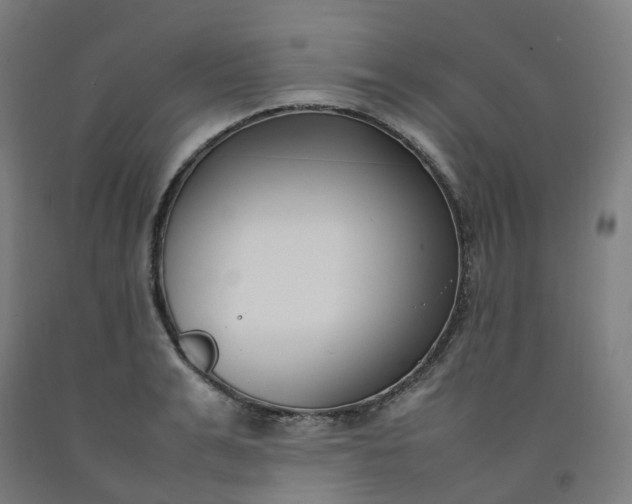 X0000092240991200709281121