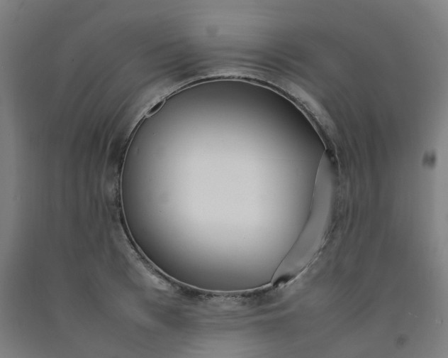 X0000092240993200709281121