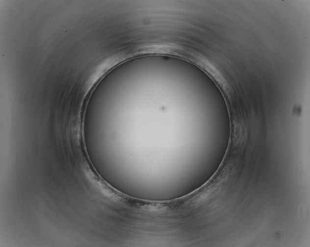 X0000092240994200709281121