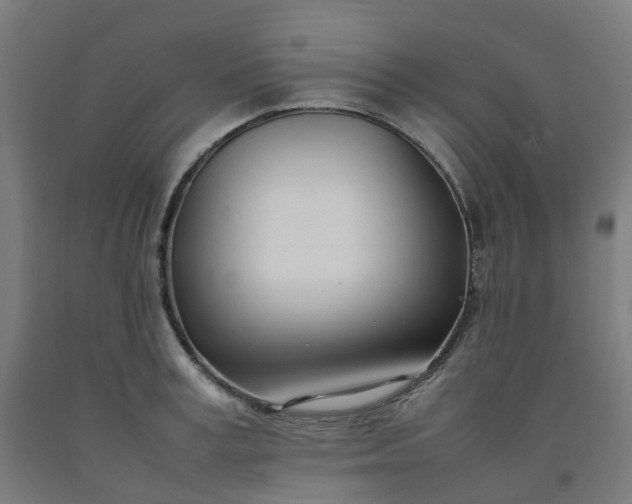 X0000092240995200709281121