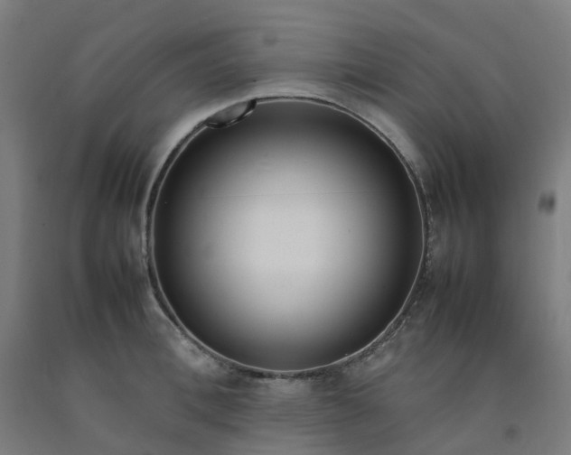 X0000092240996200709281121