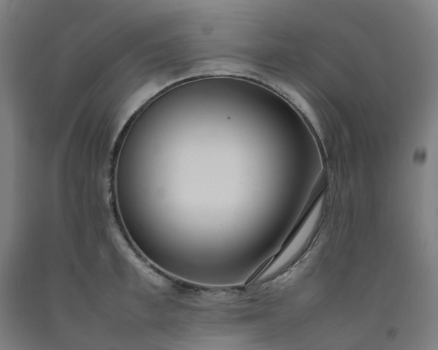 X0000092240997200709281121