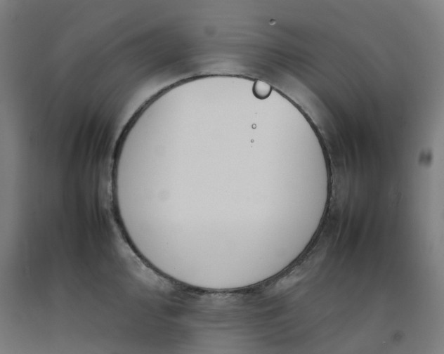 X0000092241000200709281121