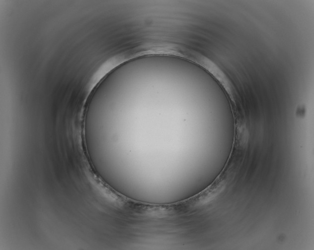 X0000092241002200709281120