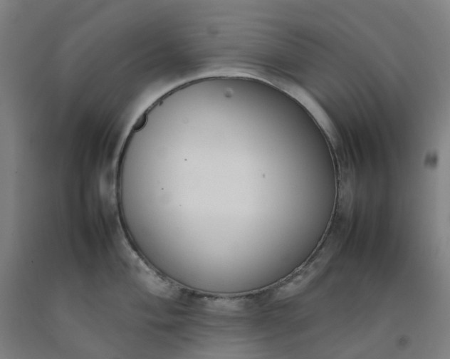 X0000092241004200709281120