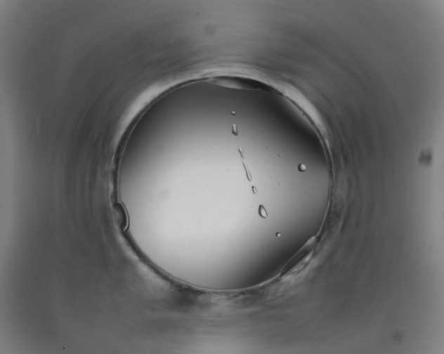 X0000092241005200709281120