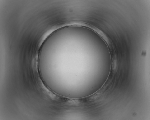 X0000092241006200709281120