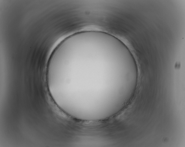 X0000092241008200709281120