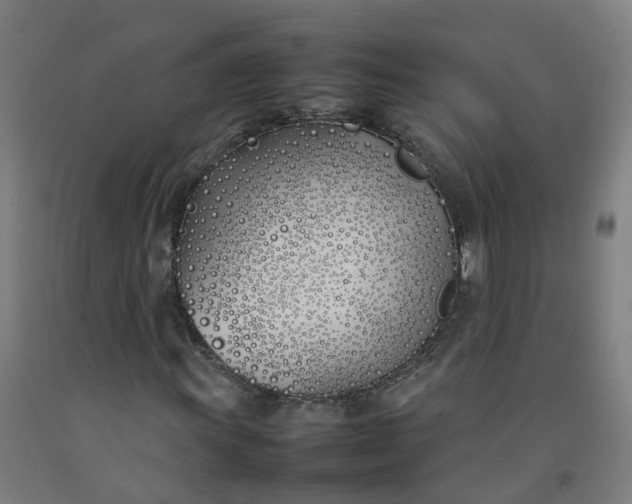 X0000092241011200709281120