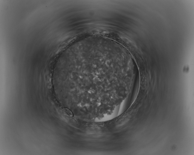 X0000092241013200709281120