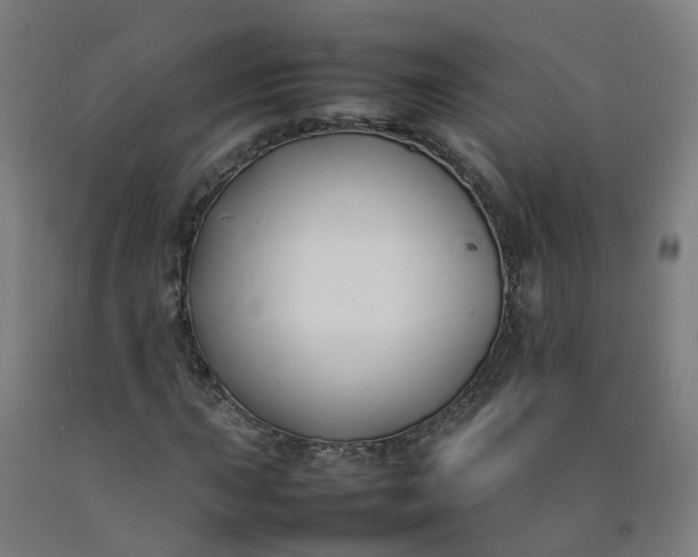 X0000092241015200709281120