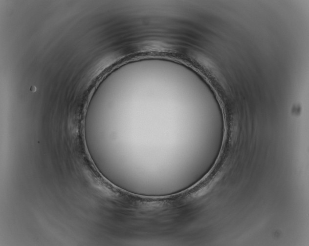 X0000092241017200709281120