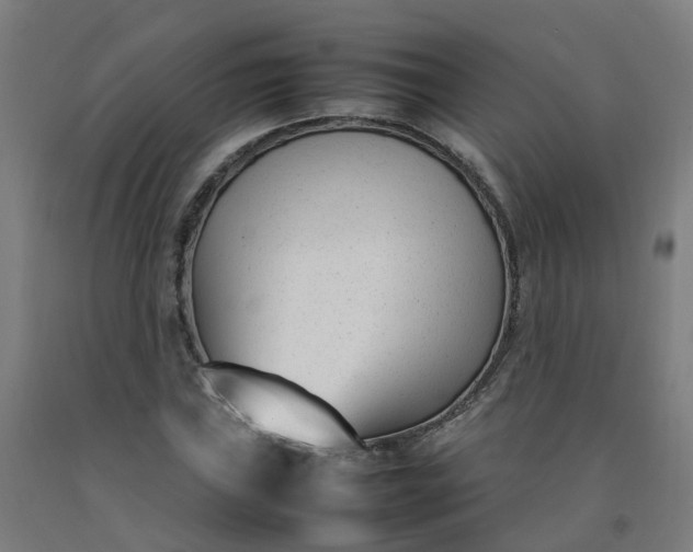 X0000092241019200709281120