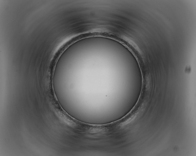 X0000092241021200709281120